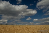 Снимка на Селскостопански земи